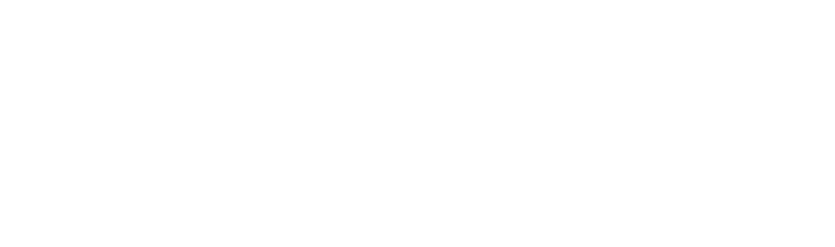 Solutions-informatique-haguenau Logo